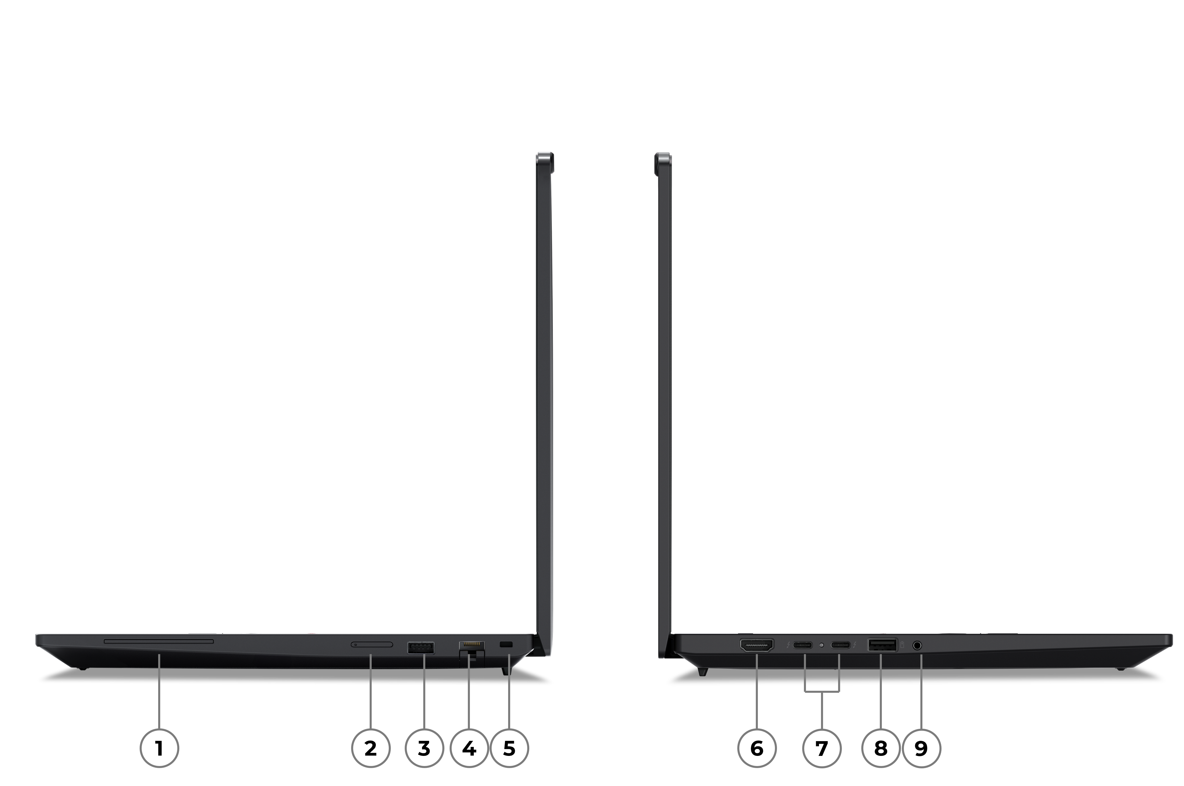 Beschreibung des Bildes
